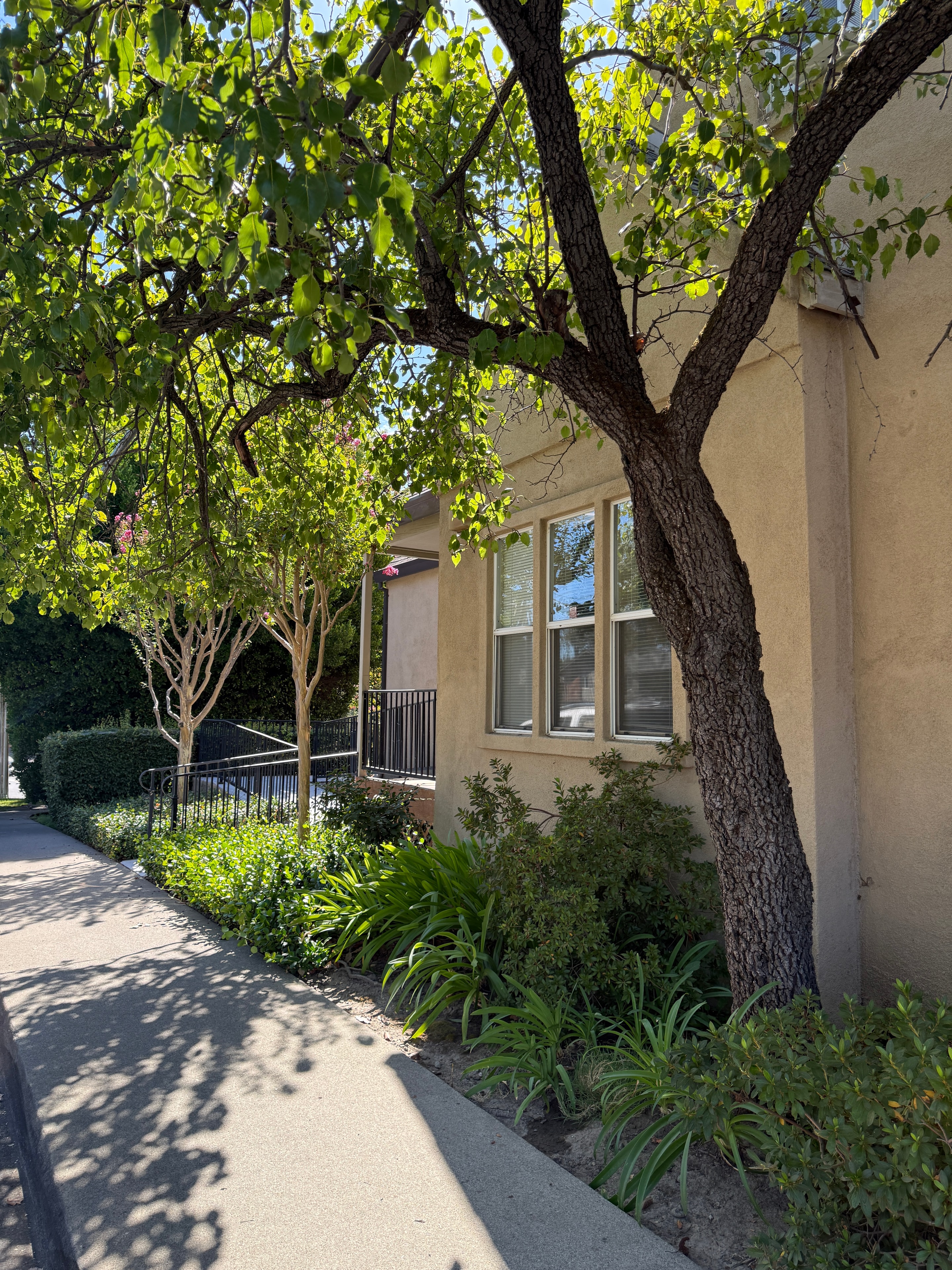 Sequoia Counseling office in Fair Oaks, California